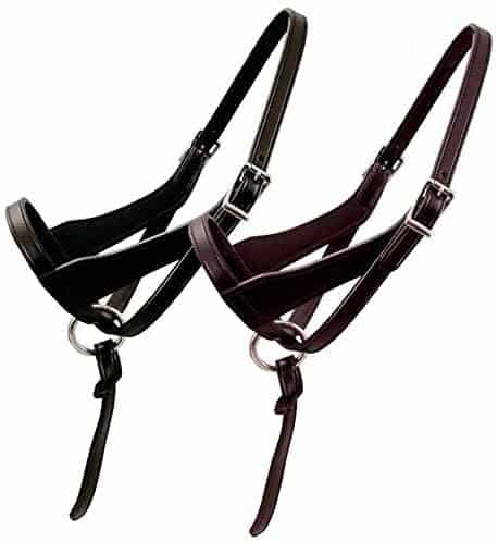 Paris Tack Double Layered Leather Grow with Me Adjustable Horse Foal Halter with Extra Crown Piece