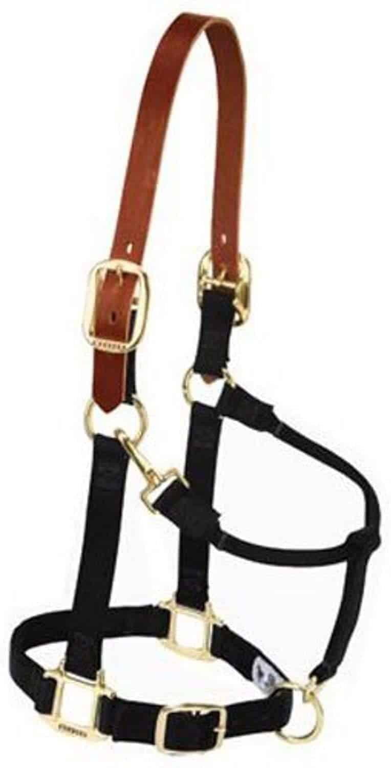 Weaver Leather Breakaway Original Adjustable Chin and Throat Snap Halter