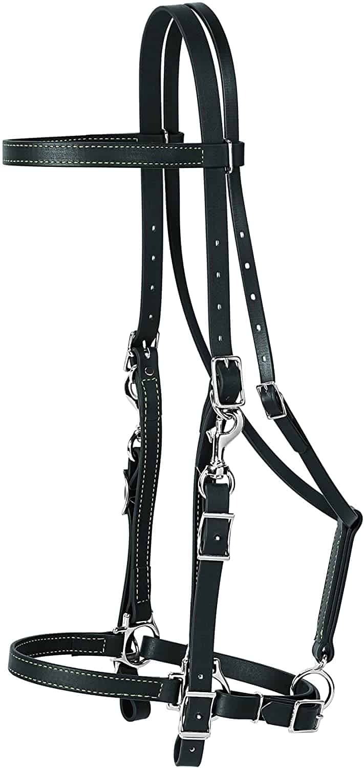 Weaver Leather Brahma Webb Halter Bridle