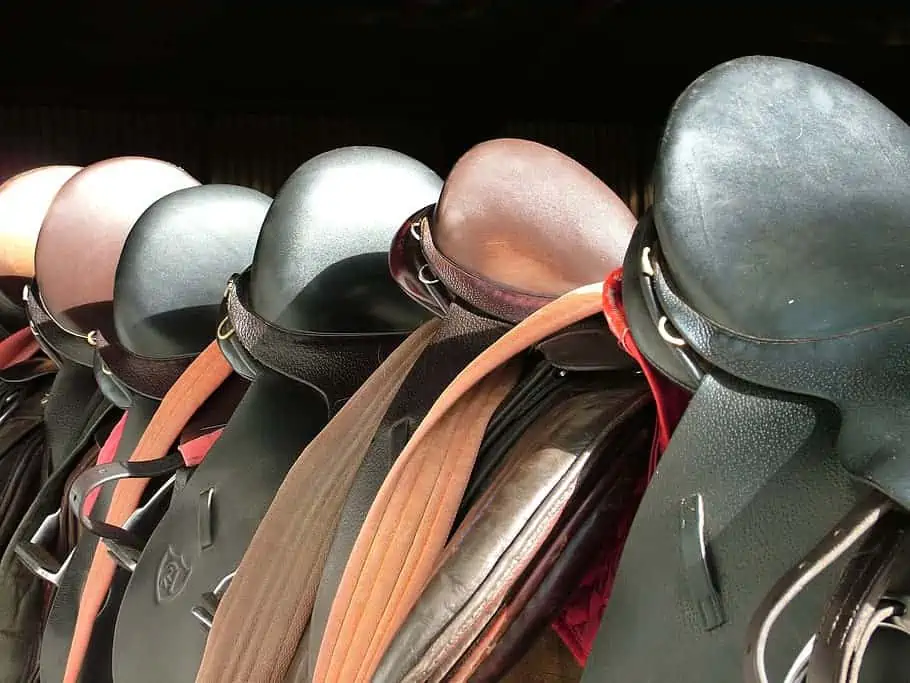 Types Of Horse Saddles Explained - The Horse And Stable