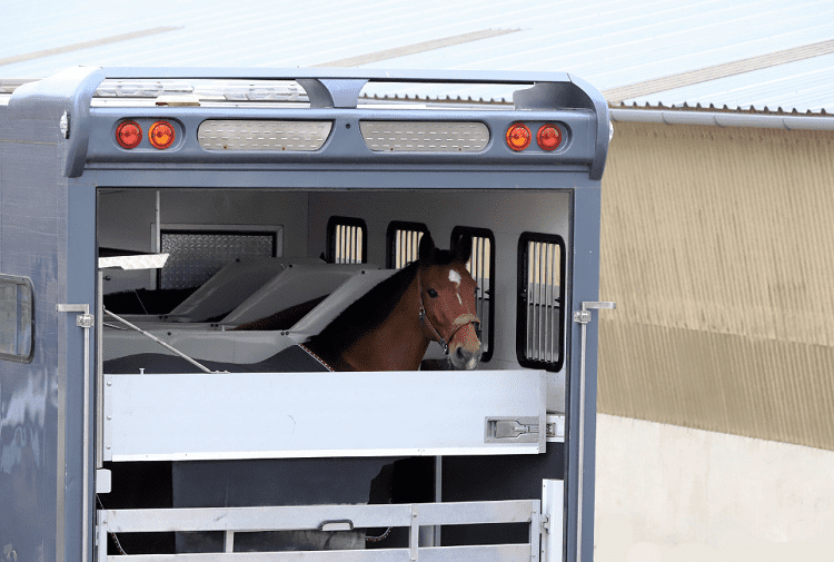 Horse Trailer