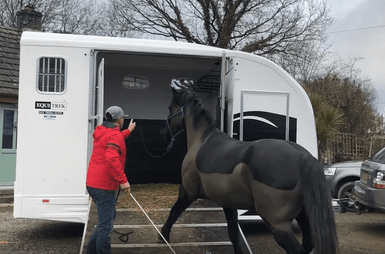 Horse Trailer