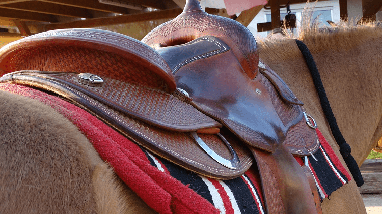 Saddle Cowboy Western Film 