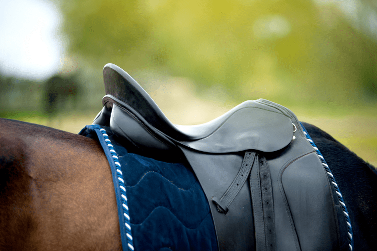 Saddle Pad