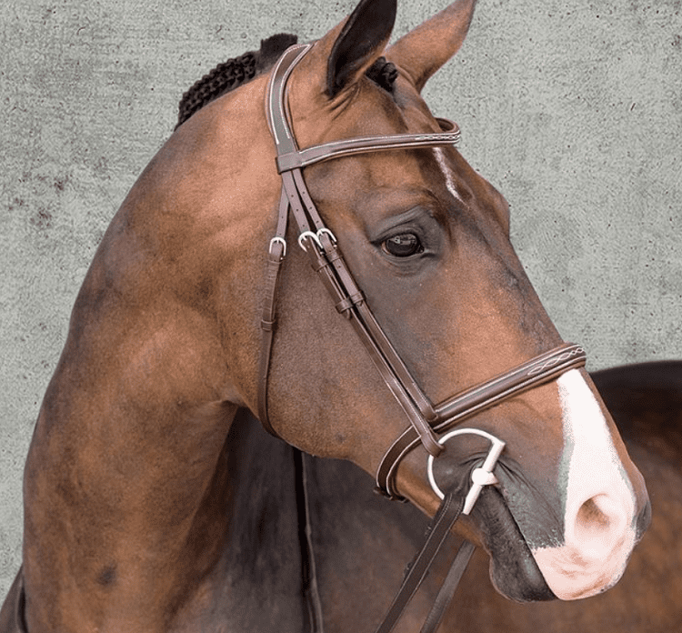 Schockemöhle Montreal Select Anatomic Hunter Bridle