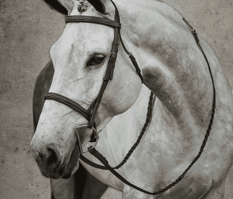 Suffolk™ Hunter Bridle