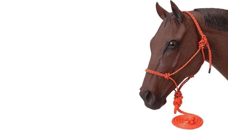 Tough 1 Poly Rope Tied Halter with Lead