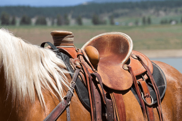 Western Saddle