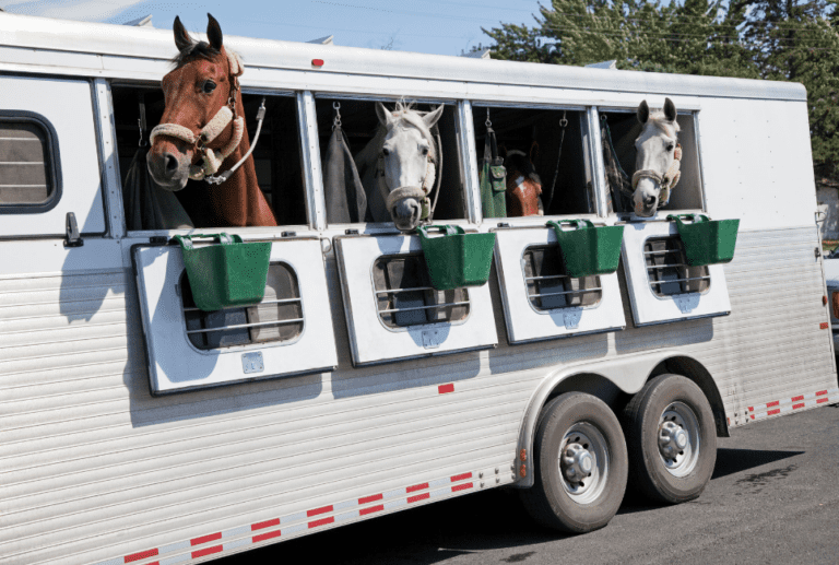 Best Bumper Pull Horse Trailers The Horse and Stable