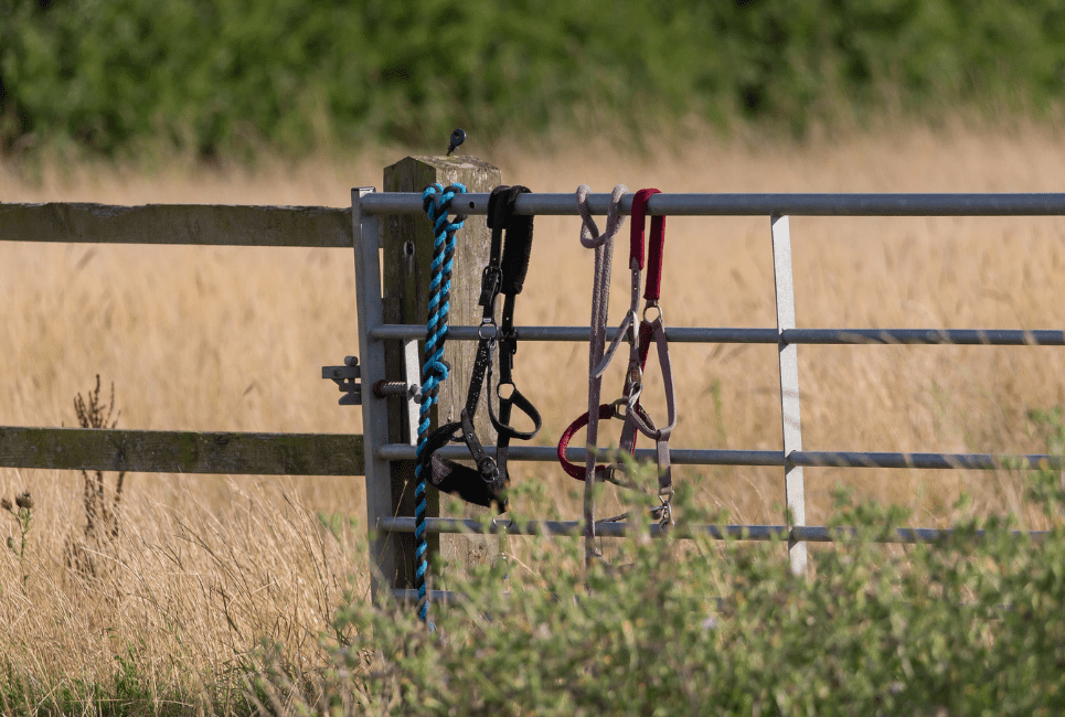 different stirrups