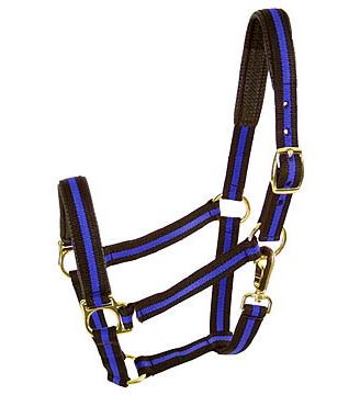 Comfort Padded Halter with Snap