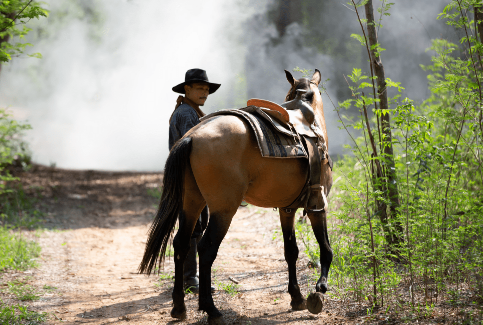 western stirrup