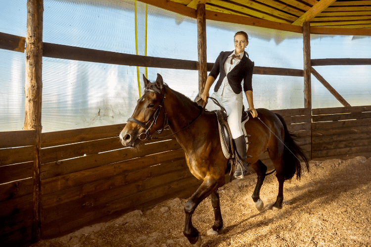 Horse Room for Riding and Training