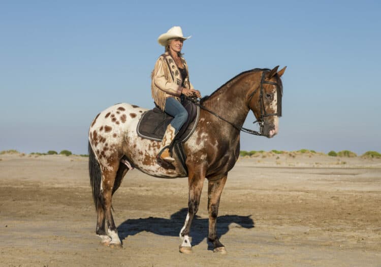 Appaloosa Human Interactions and Training: