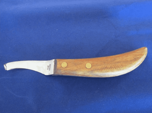 Knife - Regular or Long Handled Hoof Knife