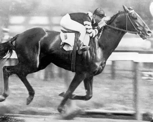 man o' war