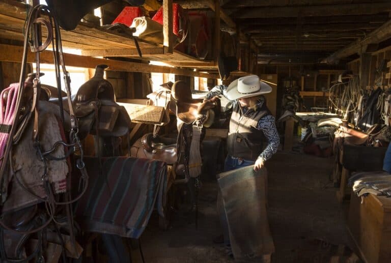 Parts Of A Western Saddle Explained The Horse And Stable Parts Of A Western Saddle Explained The Horse And Stable