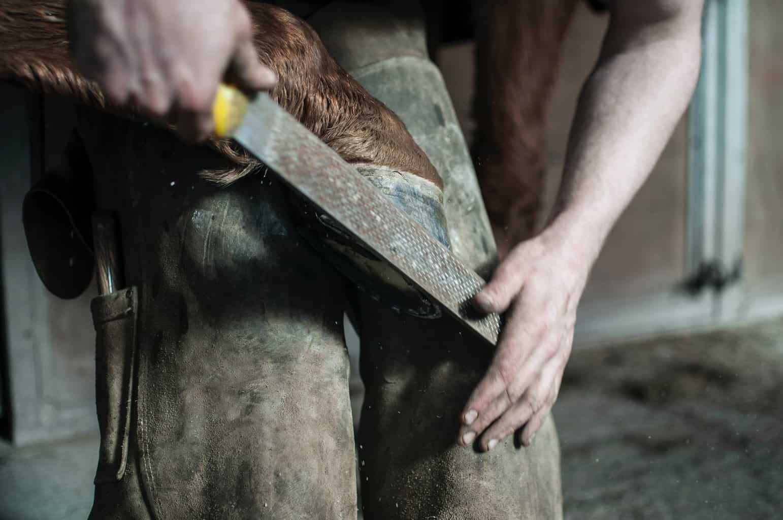 farrier