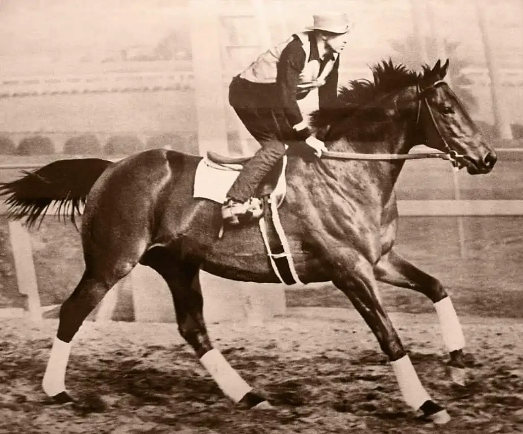 seabiscuit