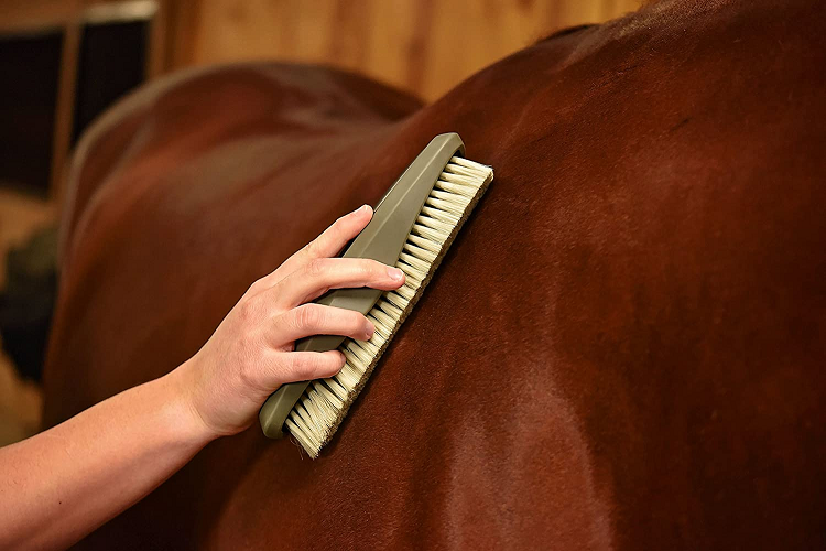 Wahl Professional Soft Equine Grooming Brush