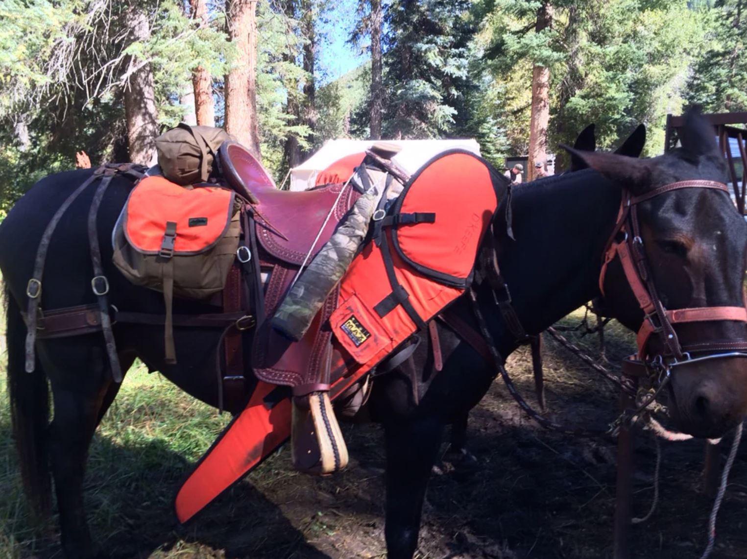 Leather Saddlebags  Guide to Sizes Materials and Options