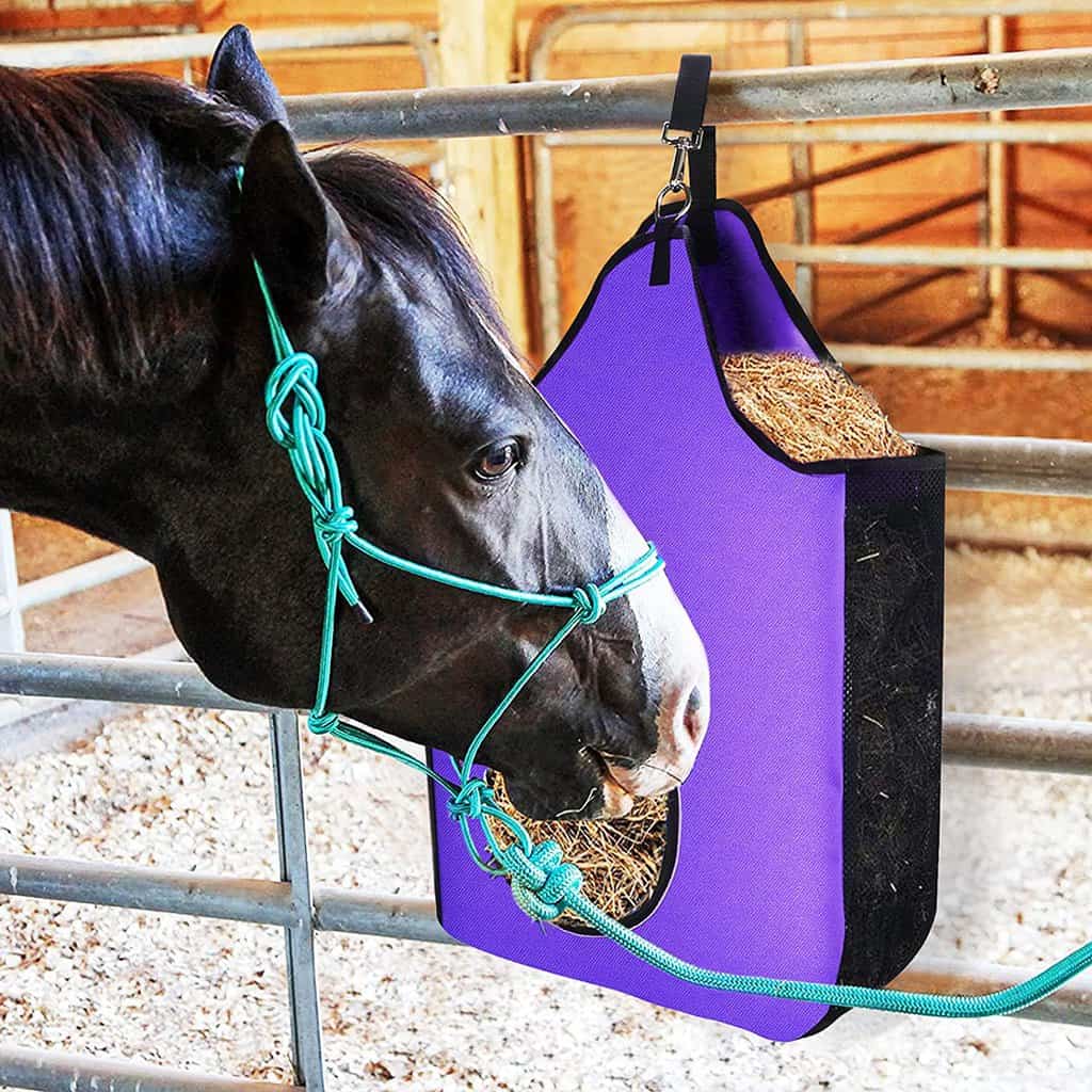 Horse Feeder Bags