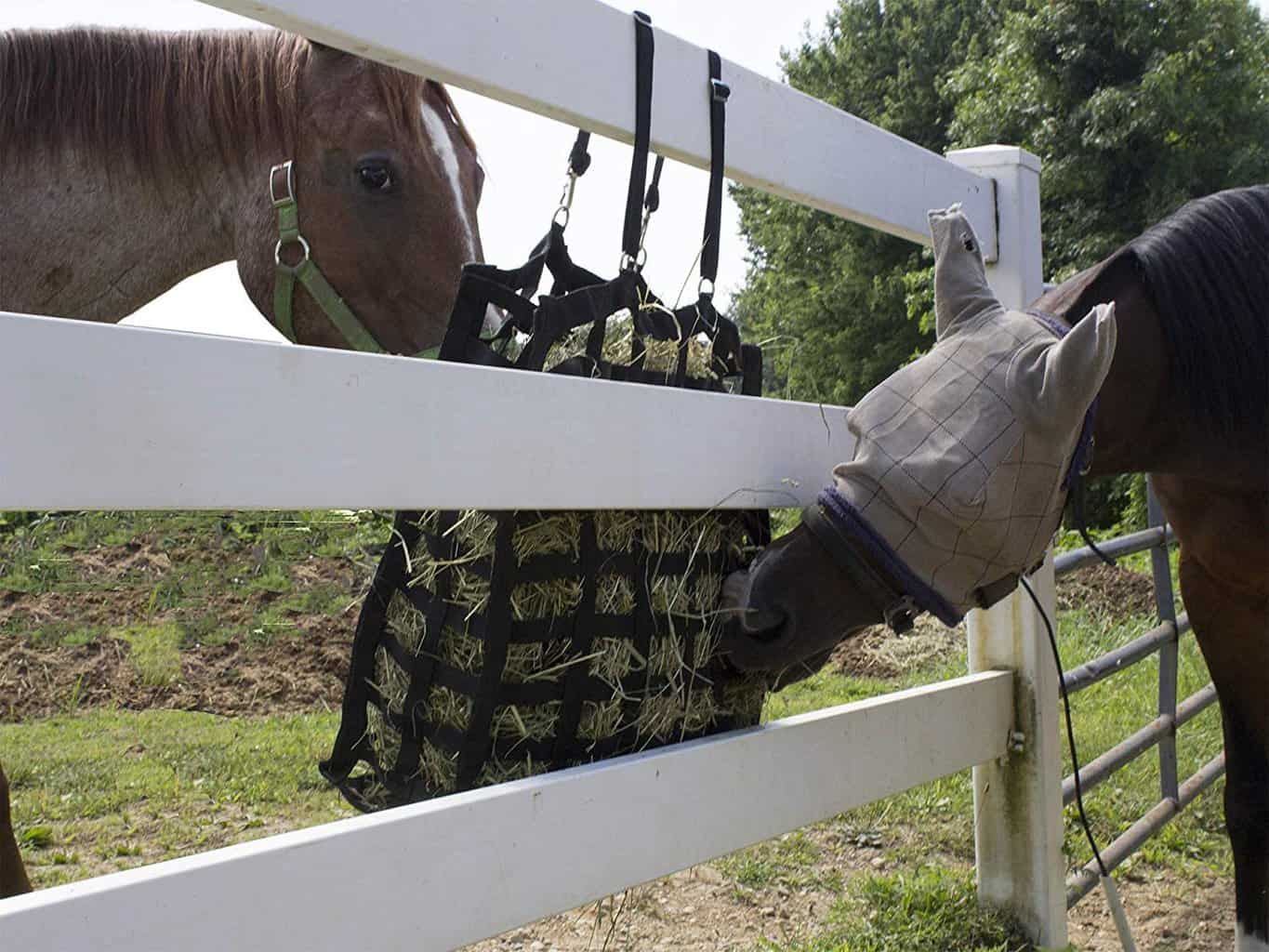 Horse Feeder Bags