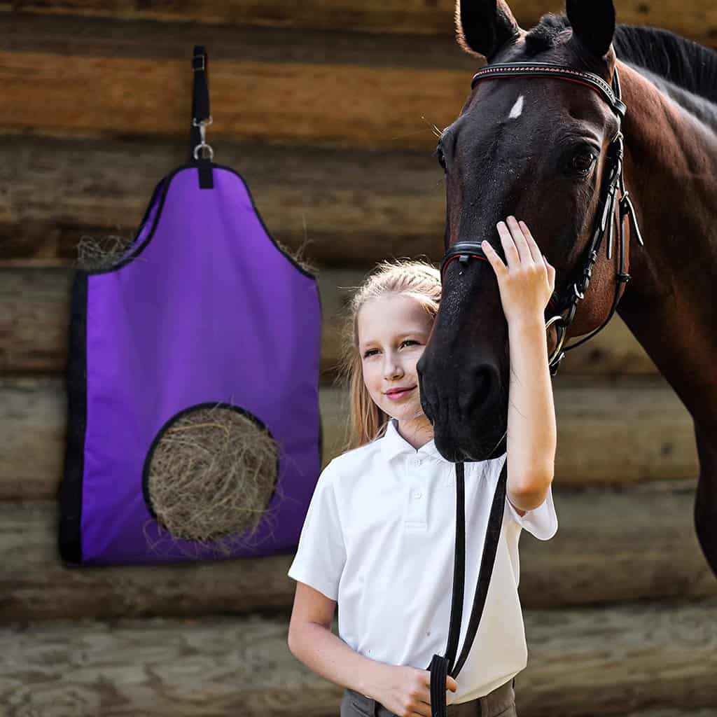 Horse Feeder Bags