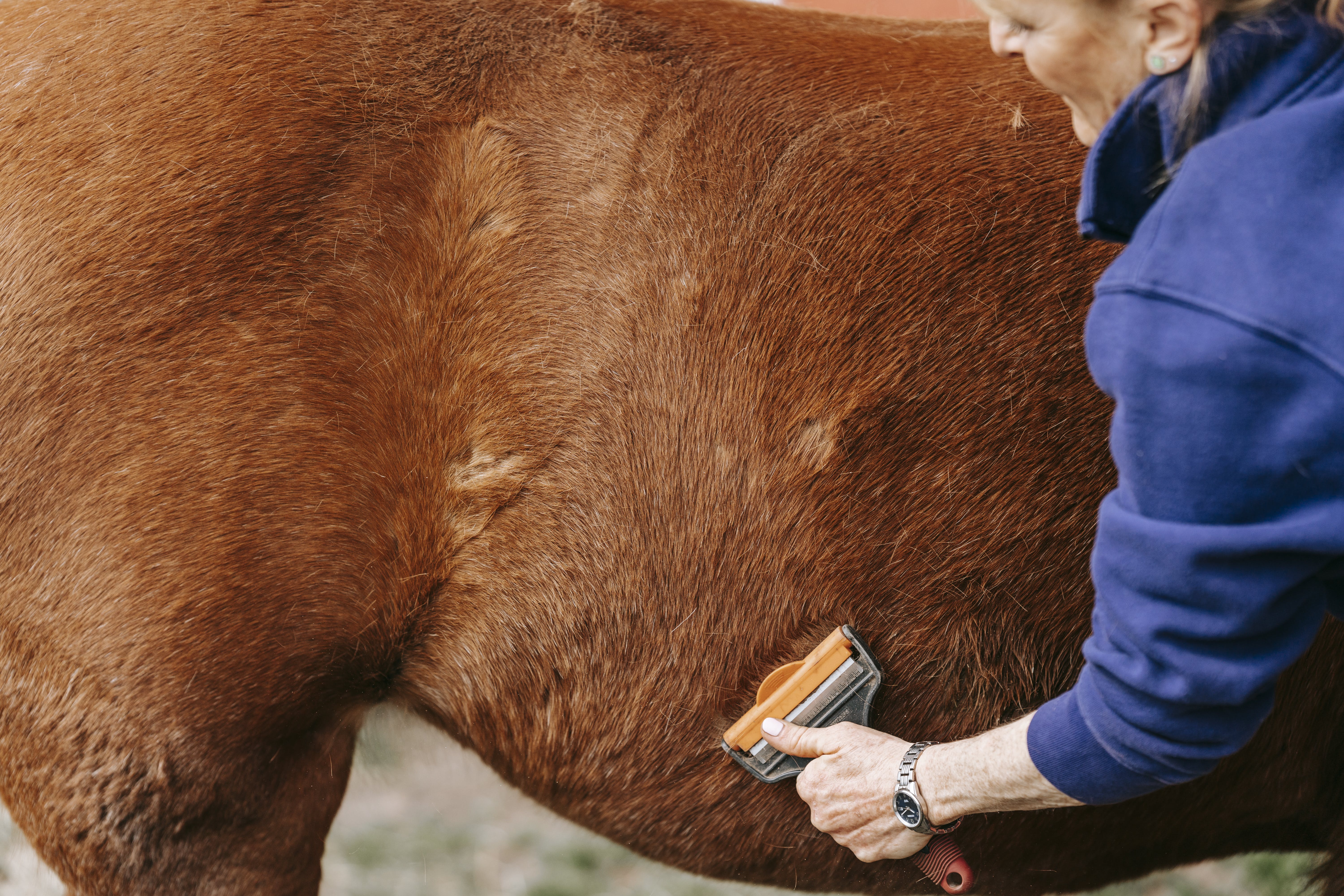 grooming kits