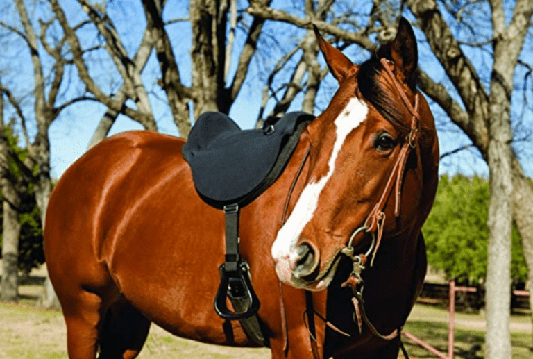 Best Bareback Pads with Stirrups The Horse and Stable
