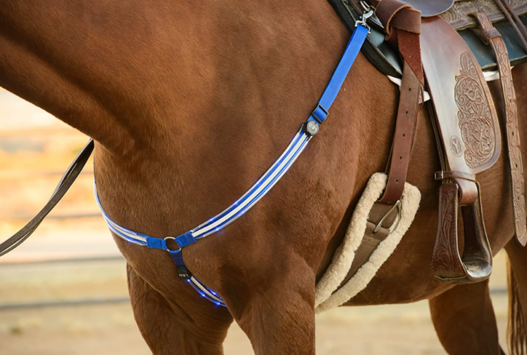 Best Breast Collar for Horses My 7 Picks The Horse and Stable