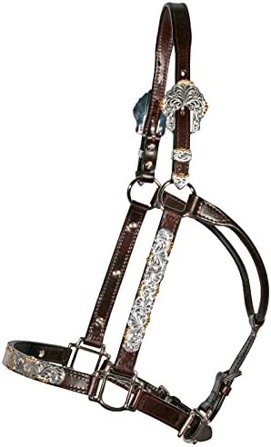 Billy Royal English Showmanship Halter