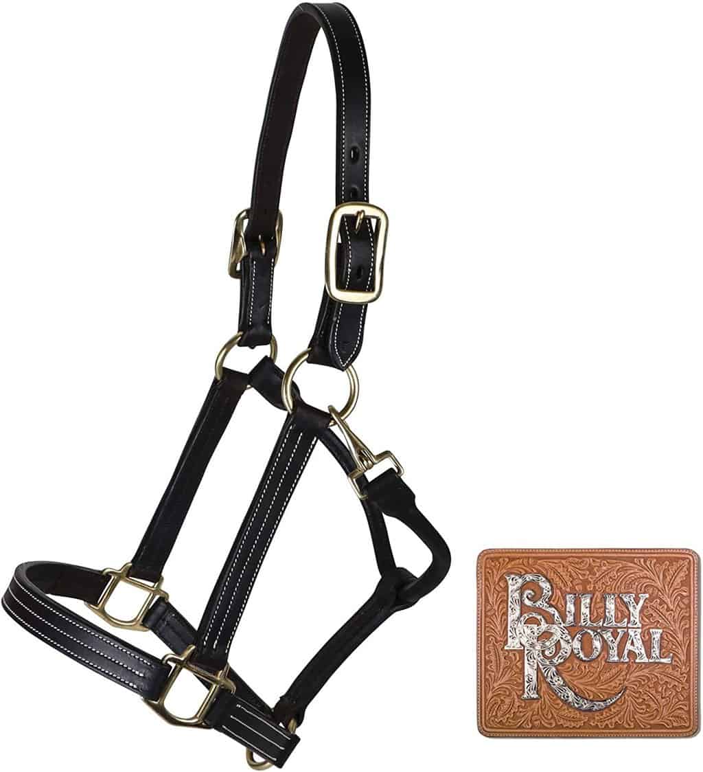 Billy Royal Tooled Leather Show Halter