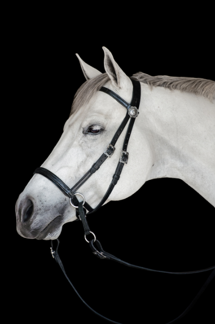 western bitless bridle