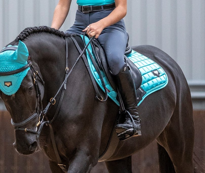 Best Le Mieux Saddle Pads Brand Guide: Stepping Up Your Equestrian Style