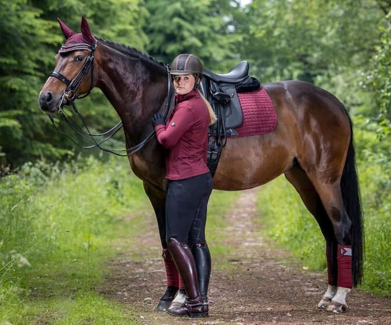 Saddle on the Horse