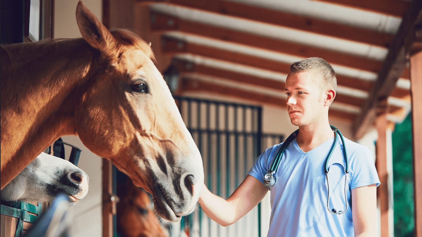 Vet with a Hose