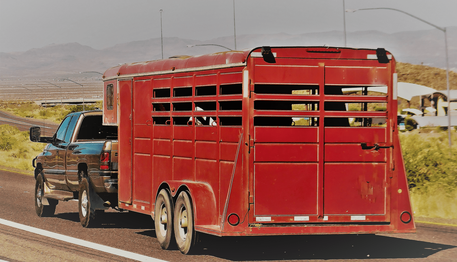 horse trailer