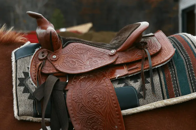 Features of an Endurance Saddle 