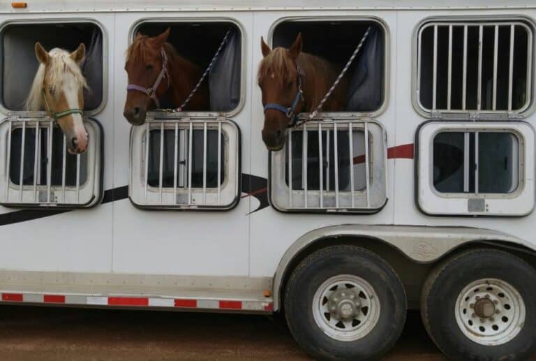 Horse Trailer Parts Guide An Extensive Overview