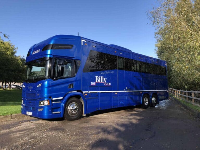 How to Find the Best Horse Box Trailer Everything You Need To Get Started