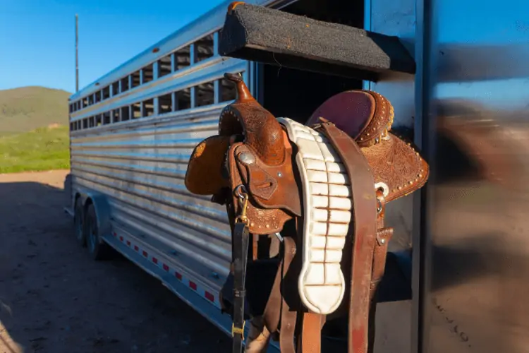 The `Fit of the Endurance Saddle 