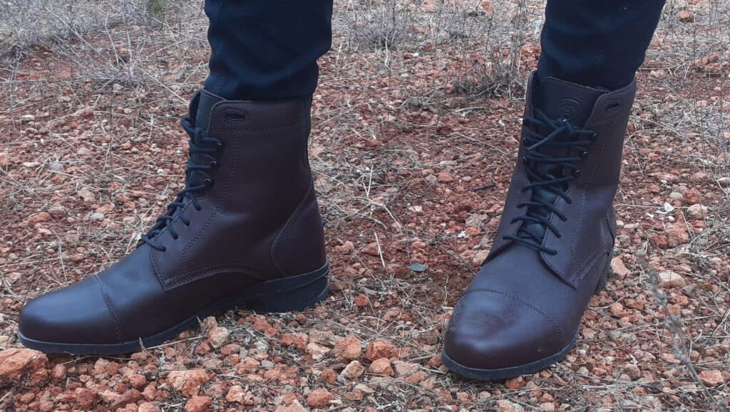 Ariat brown cheap paddock boots