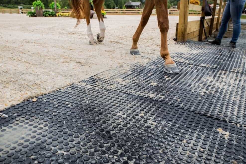 horse mat