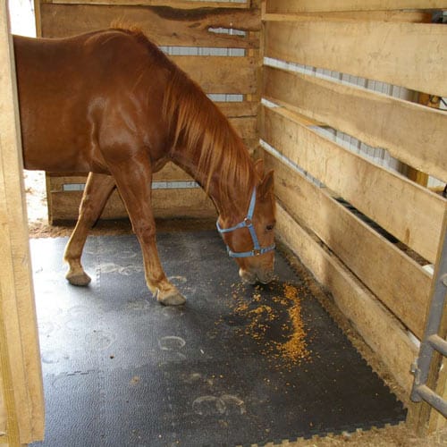 portable mat for horse