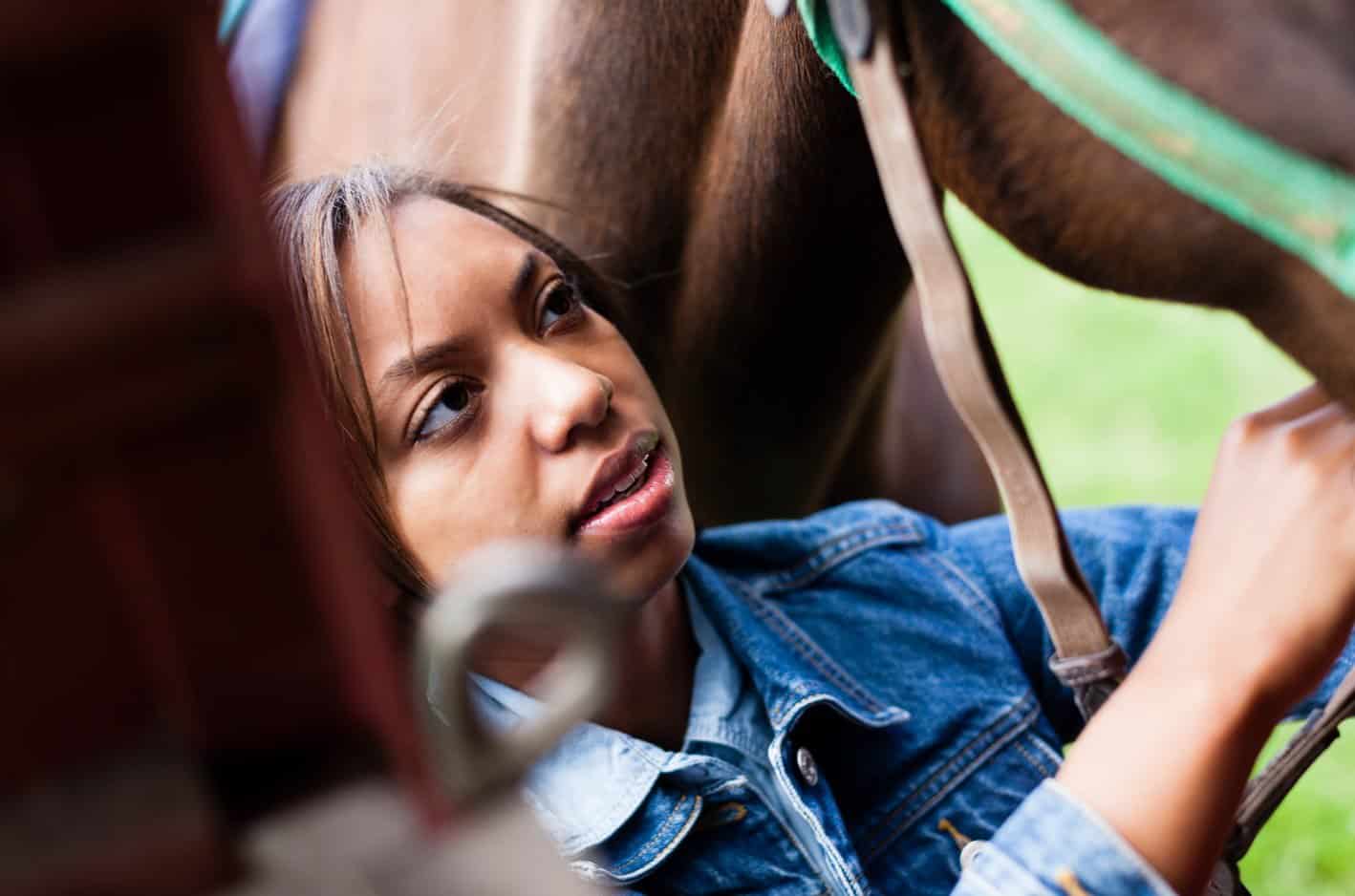 Grooming a horse