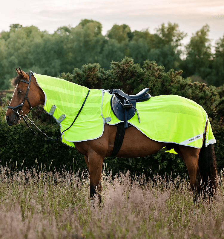 Amigo Flyrider Quarter Sheet - Fluorescent