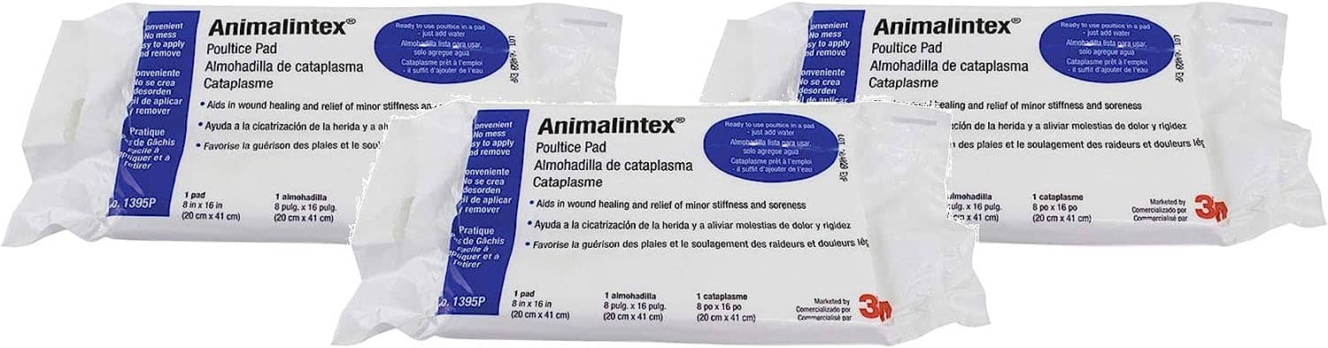 animalintex poultices