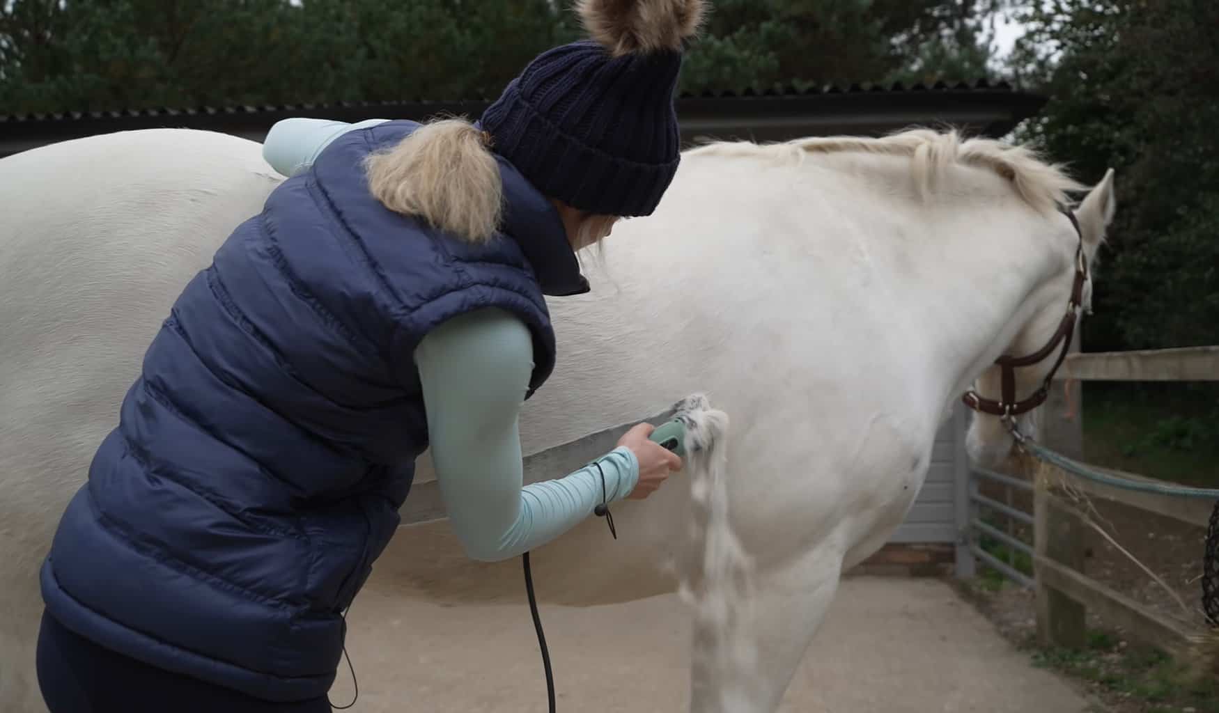 horse haircut