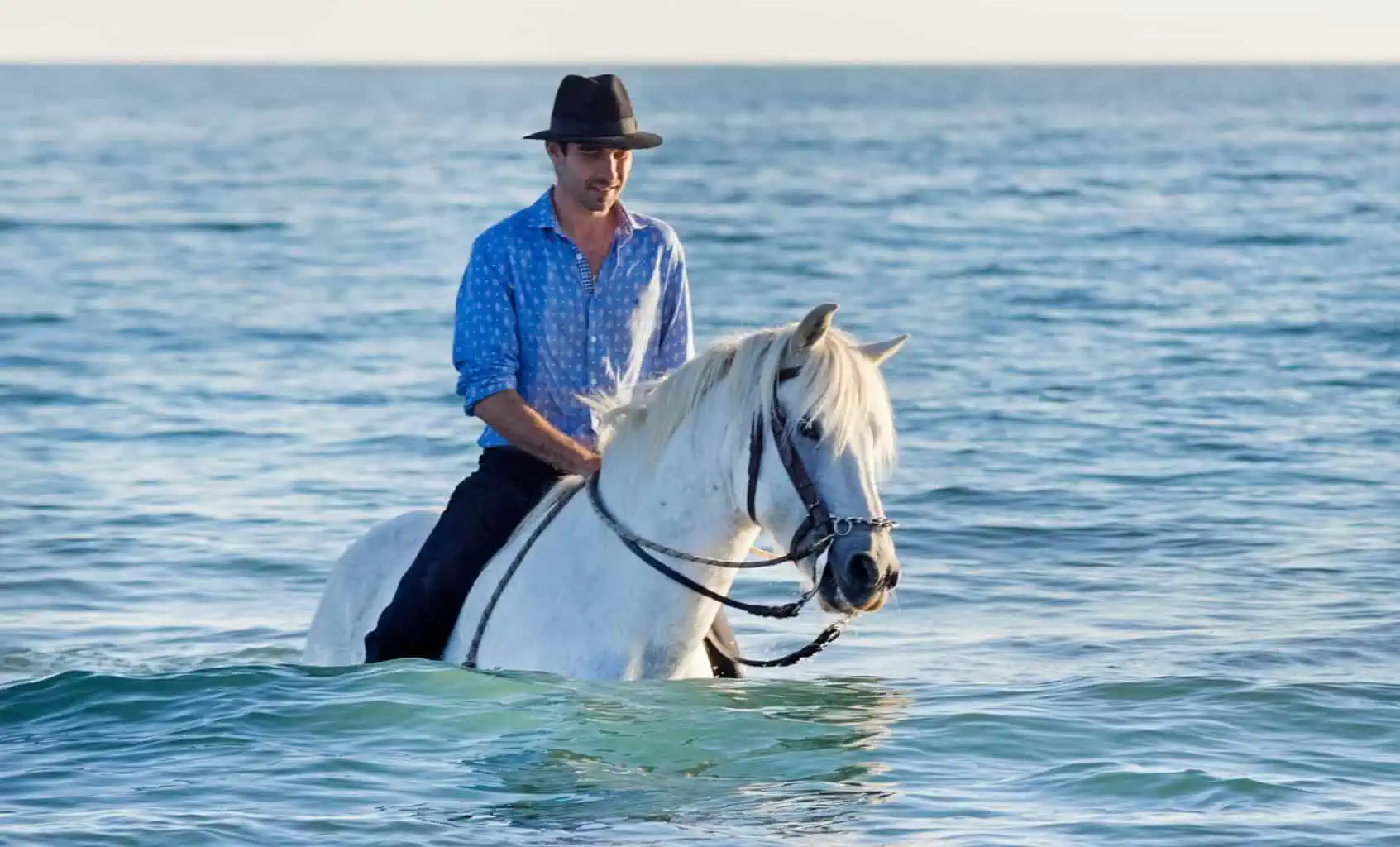 Horse Rider In The Sea